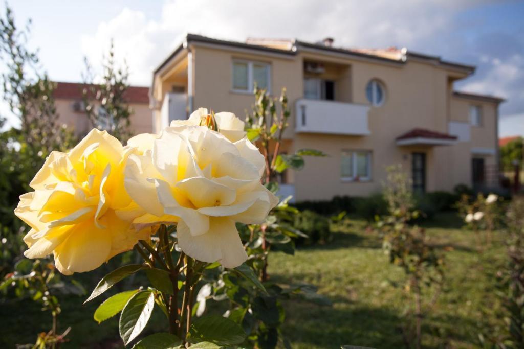 Apartments Emma Biograd na Moru Kültér fotó