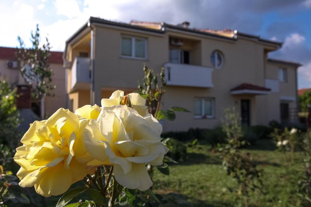 Apartments Emma Biograd na Moru Kültér fotó