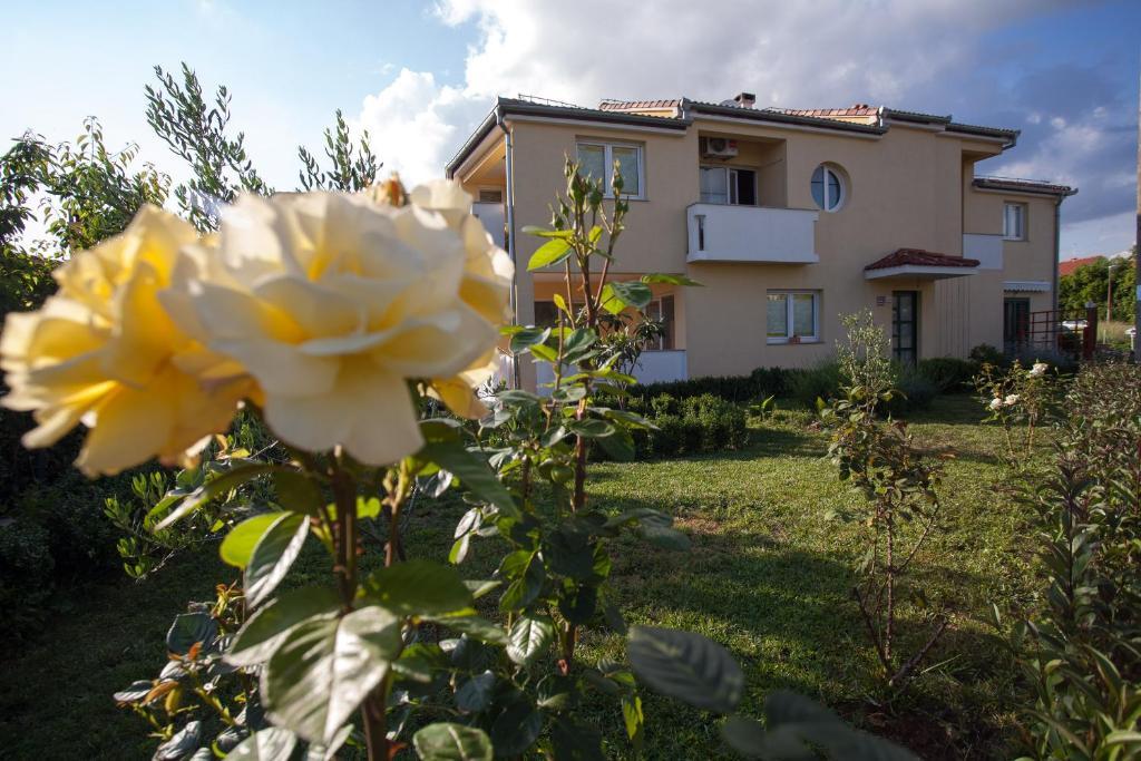 Apartments Emma Biograd na Moru Kültér fotó